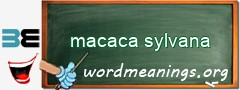 WordMeaning blackboard for macaca sylvana